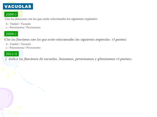 VACUOLAS
2004-J




2009-J




2011-S
 