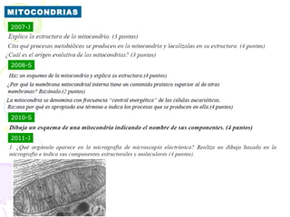 MITOCONDRIAS
2007-J




2008-S




2010-S


2011-J
 