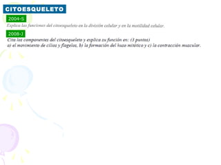 CITOESQUELETO
2004-S


2008-J
 