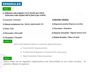 GENERALES
2002-J




2004-S




2005-J
 