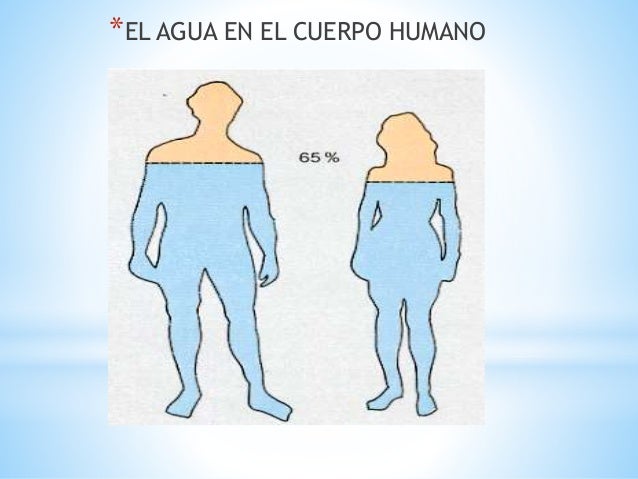 Distribución del agua en los seres vivos