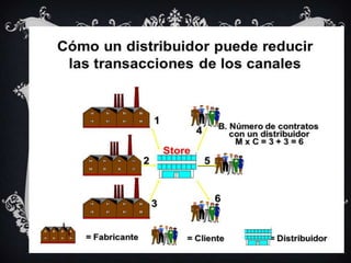 Distribución mayorista diap