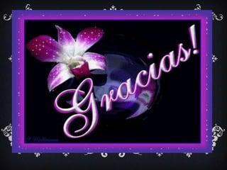 Distribución mayorista diap