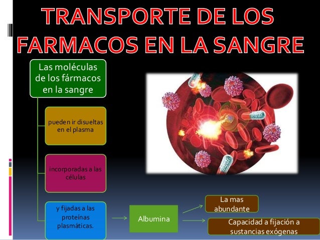Fascinantes metabolismo insulina tácticas