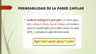 PERMEABILIDAD DE LA PARED CAPILAR
 