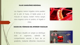 Los órganos menos irrigados como pueden
ser la piel, el hueso, el tejido graso o el
músculo en reposo, reciben menos sangre
otros órganos como el cerebro, el hígado o
riñón.
El fármaco disuelto en sangre se distribuye
todo el organismo, saliendo del
compartimento vascular a favor de un
gradiente, mediante diferentes mecanismos
FLUJO SANGUÍNEO REGIONAL
SALIDA DEL FÁRMACO DEL INTERIOR VASCULAR
 