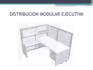 DISTRIBUCION MODULAR EJECUTIVA
 