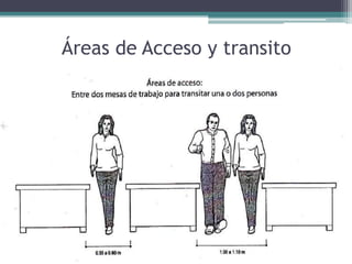 Áreas de Acceso y transito
 