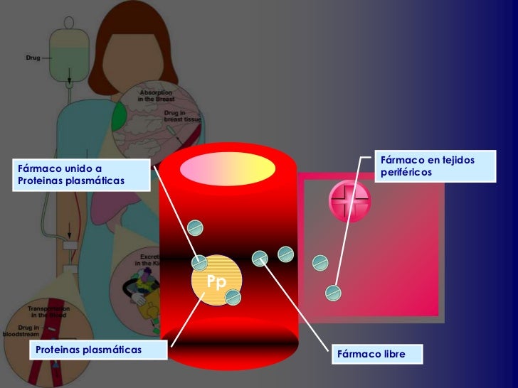 Resultado de imagen para distribucion de farmacos