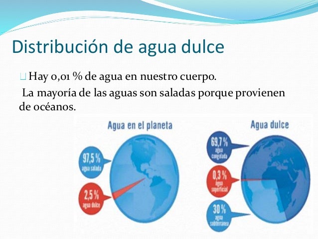 Distribucion del agua
