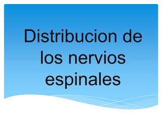 Distribucion de
los nervios
espinales

 