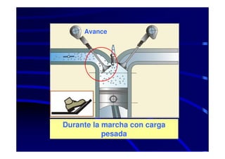 Avance




Durante la marcha con carga
           pesada
 
