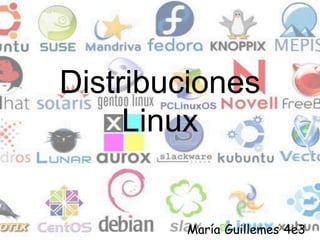 Distribuciones 
Linux 
María Guillemes 4e3 
 