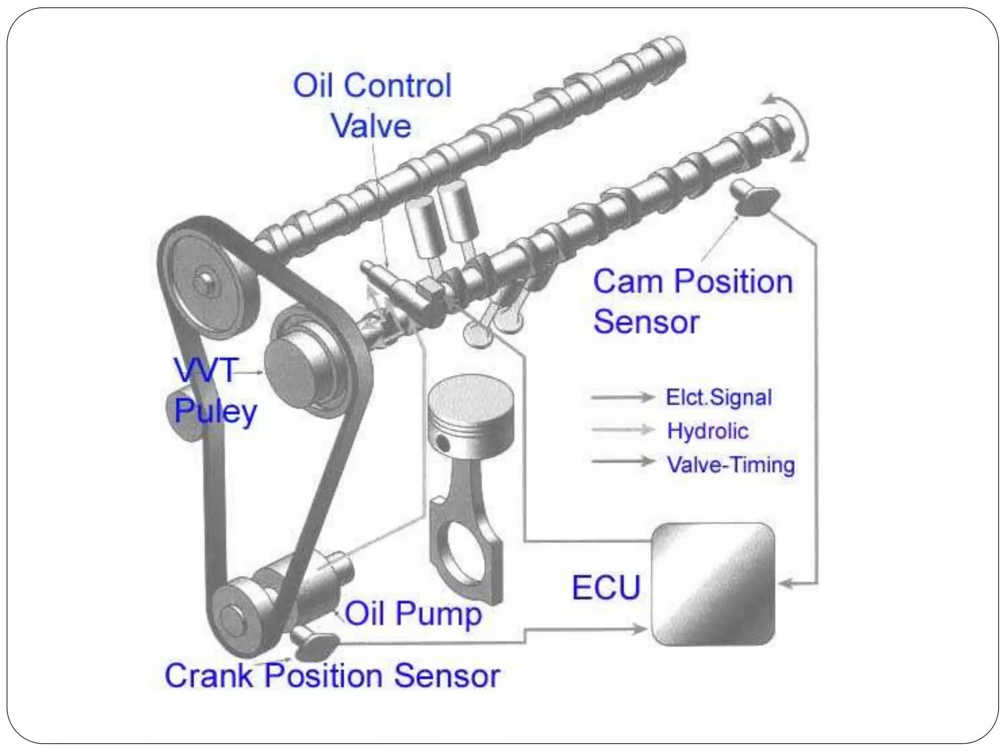 Distribucion variable
