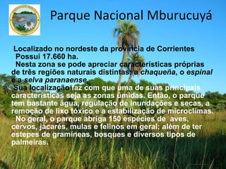 Parque Nacional Mburucuyá Localizado no nordeste da província de Corrientes  Possui 17.660 ha.  Nesta zona se pode apreciar características próprias de três regiões naturais distintas: a  chaqueña , o  espinal  e a  selva paranaense . Sua localização  faz com que uma de suas principais características seja as zonas úmidas. Então, o parque tem bastante água, regulação de inundações e secas, a remoção de lixo tóxico e a estabilização de microclimas. No geral, o parque abriga 150 espécies de  aves, cervos, jacarés, mulas e felinos em geral; além de ter estepes de gramíneas, bosques e diversos tipos de palmeiras. 