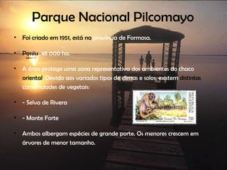 Parque Nacional Pilcomayo Foi criado em 1951, está na  província de Formosa. Possiu  48 000 ha. A área protege uma zona representativa dos ambientes do chaco  oriental . Devido aos variados tipos de climas e solos, existem  distintas  comunidades de vegetais: - Selva de Rivera - Monte Forte Ambos albergam espécies de grande porte. Os menores crescem em árvores de menor tamanho. 