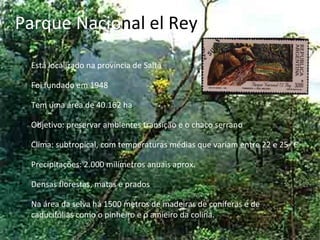 Parque Nacio nal el Rey Está localizado na província de Salta Foi fundado em 1948  Tem uma área de 40.162 ha Objetivo: preservar ambientes transição e o chaco serrano Clima: subtropical, com temperaturas médias que variam entre 22 e 25 °C Precipitações: 2.000 milímetros anuais aprox. Densas florestas, matas e prados Na área da selva há 1500 metros de madeiras de coníferas e de caducifólias como o pinheiro e o amieiro da colina. 
