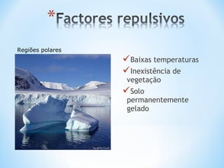 Baixas temperaturas
Inexistência de
vegetação
Solo
permanentemente
gelado
Regiões polares
 