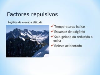 Temperaturas baixas
Escassez de oxigénio
Solo gelado ou reduzido a
rocha
Relevo acidentado
Factores repulsivos
Regiões de elevada altitude
 