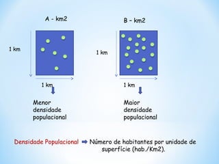 A - km2 B – km2
Menor
densidade
populacional
Maior
densidade
populacional
Densidade Populacional Número de habitantes por unidade de
superfície (hab./Km2).
1 km
1 km
1 km
1 km
 