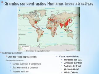 Distribuição da população mundial
* Podemos identificar :
* Grandes focos populacionais
(formigueiros humanos):
* Europa (Central e Ocidental)
* Ásia Meridional e Oriental
* Sudeste asiático
 Focos secundários:
 Nordeste dos EUA
 América Central
 Sudeste do Brasil
 Golfo da Guiné
 Médio Oriente
 