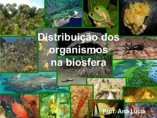 Distribuição dos
organismos
na biosfera
Prof. Ana Lucia
 