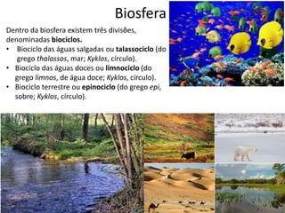 Distribuicao dos organismos na biosfera | PPTX