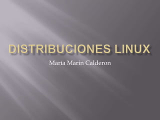 L

María Marin Calderon

 