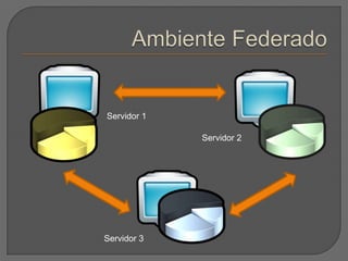 Ambiente FederadoServidor 1Servidor 2Servidor 3