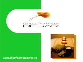 www.distribuidorabejar.ws 