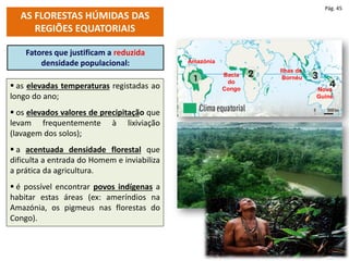  as elevadas temperaturas registadas ao
longo do ano;
 os elevados valores de precipitação que
levam frequentemente à lixiviação
(lavagem dos solos);
 a acentuada densidade florestal que
dificulta a entrada do Homem e inviabiliza
a prática da agricultura.
 é possível encontrar povos indígenas a
habitar estas áreas (ex: ameríndios na
Amazónia, os pigmeus nas florestas do
Congo).
Fatores que justificam a reduzida
densidade populacional:
AS FLORESTAS HÚMIDAS DAS
REGIÕES EQUATORIAIS
Pág. 45
Amazónia
Bacia
do
Congo Nova
Guiné
Ilhas de
Bornéu
 