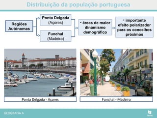 Distribuição da população portuguesa
Funchal - MadeiraPonta Delgada - Açores
• importante
efeito polarizador
para os concelhos
próximos
Regiões
Autónomas
Ponta Delgada
(Açores)
Funchal
(Madeira)
• áreas de maior
dinamismo
demográfico
 