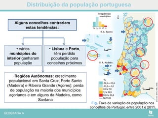 distribui-o-da-popula-o-portuguesa-ppt