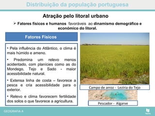 Distribuição da população portuguesa
• Pela influência do Atlântico, o clima é
mais húmido e ameno.
• Predomina um relevo menos
acidentado, com planícies como as do
Mondego, Tejo e Sado - maior
acessibilidade natural.
• Extensa linha de costa – favorece a
pesca e cria acessibilidade para o
exterior.
• Relevo e clima favorecem fertilidade
dos solos o que favorece a agricultura.
Fatores Físicos
Ponte 25 de Abril - LisboaRio Sado - Alcácer do SalPescador - Algarve
Campo de arroz - Lezíria do Tejo
Atração pelo litoral urbano
 Fatores físicos e humanos favoráveis ao dinamismo demográfico e
económico do litoral.
 