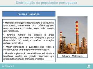 Distribuição da população portuguesa
• Melhores condições naturais para a agricultura,
favorecendo, atualmente, uma prática agrícola
mais moderna e produtiva, com maior acesso
aos mercados.
• Grande número de cidades e áreas
urbanizadas, com oferta de habitação e grande
diversidade de serviços (saúde, educação,
cultura, lazer, etc.).
• Maior densidade e qualidade das redes e
infraestruturas de transporte e comunicação;
• Grande implantação de atividades industriais e
terciárias, muitas de grande dimensão, que
proporcionam maior oferta de emprego.
Fatores Humanos
Plantação de milho - MinhoCidade do PortoGare do Oriente - LisboaRefinaria - Matosinhos
 