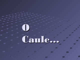 OO
Caule…Caule…
 