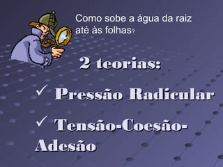 2 teorias:2 teorias:
 Pressão RadicularPressão Radicular
 Tensão-Coesão-Tensão-Coesão-
AdesãoAdesão
Como sobe a água da raiz
até às folhas?
 