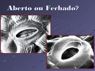 Aberto ou Fechado?Aberto ou Fechado?
 