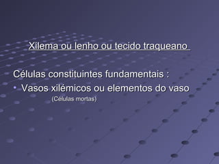 Xilema ou lenho ou tecido traqueanoXilema ou lenho ou tecido traqueano
Células constituintes fundamentais :Células constituintes fundamentais :
• Vasos xilémicos ou elementos do vasoVasos xilémicos ou elementos do vaso
(Células mortas)(Células mortas)
 