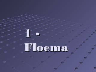 1 -1 -
FloemaFloema
 