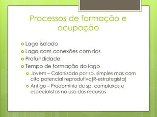 Processos de formação e
            ocupação
 Lago isolado
 Lago com conexões com rios
 Profundidade
 Tempo de formação do lago
    Jovem – Colonizado por sp. simples mas com
     alto potencial reprodutivo(R-estrategísta)
    Antigo – Predomínio de sp. complexas e
     especialistas no uso dos recursos
 