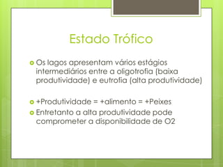Estado Trófico
 Os lagos apresentam vários estágios
 intermediários entre a oligotrofia (baixa
 produtividade) e eutrofia (alta produtividade)

 +Produtividade  = +alimento = +Peixes
 Entretanto a alta produtividade pode
  comprometer a disponibilidade de O2
 