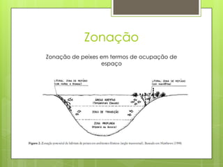 Zonação
Zonação de peixes em termos de ocupação de
                  espaço
 