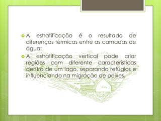 A    estratificação é o resultado de
 diferenças térmicas entre as camadas de
 água;
A    estratificação vertical pode criar
 regiões com diferente características
 dentro de um lago, separando refúgios e
 influenciando na migração de peixes.
 