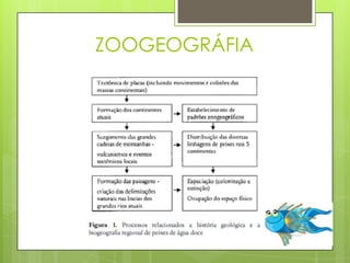 ZOOGEOGRÁFIA
 