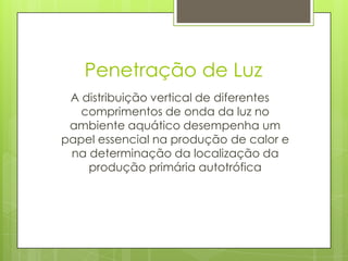 Penetração de Luz
 A distribuição vertical de diferentes
   comprimentos de onda da luz no
 ambiente aquático desempenha um
papel essencial na produção de calor e
 na determinação da localização da
    produção primária autotrófica
 