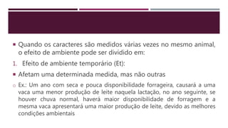  Quando os caracteres são medidos várias vezes no mesmo animal,
o efeito de ambiente pode ser dividido em:
1. Efeito de ambiente temporário (Et):
 Afetam uma determinada medida, mas não outras
o Ex.: Um ano com seca e pouca disponibilidade forrageira, causará a uma
vaca uma menor produção de leite naquela lactação, no ano seguinte, se
houver chuva normal, haverá maior disponibilidade de forragem e a
mesma vaca apresentará uma maior produção de leite, devido as melhores
condições ambientais
 