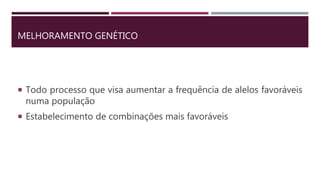 MELHORAMENTO GENÉTICO
 Todo processo que visa aumentar a frequência de alelos favoráveis
numa população
 Estabelecimento de combinações mais favoráveis
 