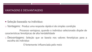 VANTAGENS E DESVANTAGENS
 Seleção baseada na individuo:
o Vantagens: Produz uma resposta rápida é de simples condição
Processo vantajoso, quando o individuo selecionado dispõe de
características fenotípicas de alta herdabilidade
o Desvantagens: Seleção que se baseia nos valores fenotípicas para a
escolha do individuo
É fortemente influenciada pelo meio
 