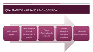 QUALITATIVOS – HERANÇA MONOGÊNICA
Um ou poucos
genes
Efeito individual
sobre a
característica é
grande
Pouco
influenciado pelo
ambiente
Classes
fenotípicas
facilmente
separáveis
Distribuição
fenotípica discreta
 